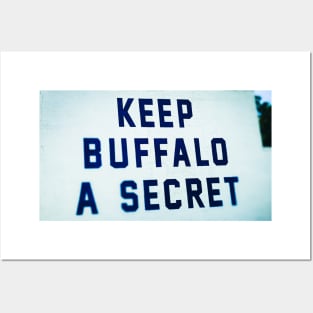 Secret Buffalo Posters and Art